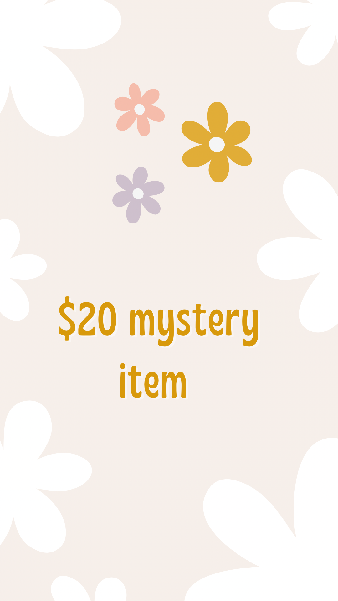 $20 mystery item/ outfit