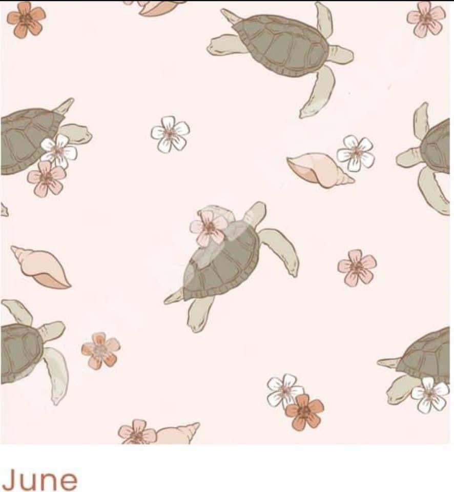 Basic Isla (for girls) part 1