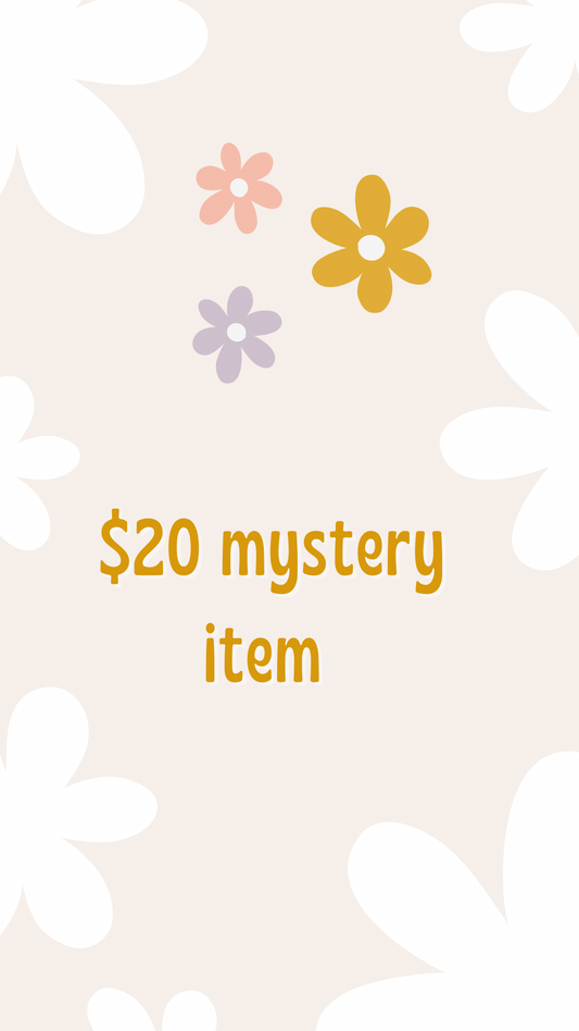 $20 mystery item/ outfit