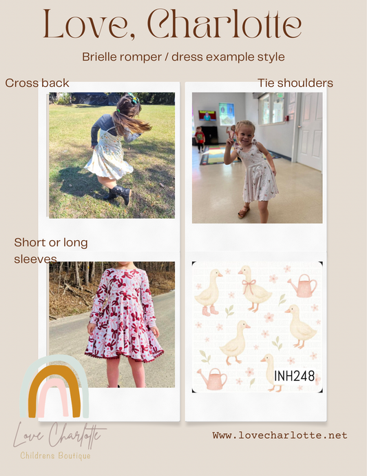 Pink Goose brielle ( romper or dress)